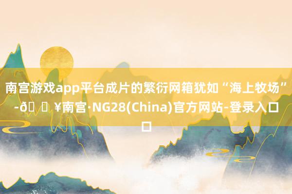 南宫游戏app平台成片的繁衍网箱犹如“海上牧场”-🔥南宫·NG28(China)官方网站-登录入口