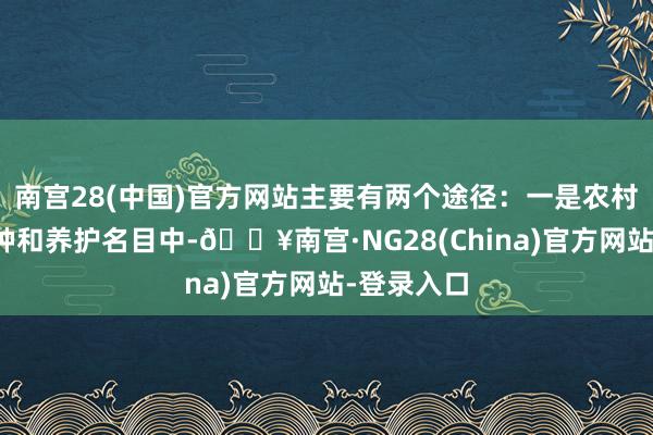 南宫28(中国)官方网站主要有两个途径：一是农村公路的耕种和养护名目中-🔥南宫·NG28(China)官方网站-登录入口